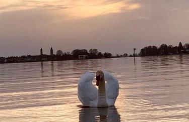 Linda‘s Ferien-Pferdehof - Foto 26