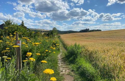 Ferienwohnungen Bauernschmause - Foto 49