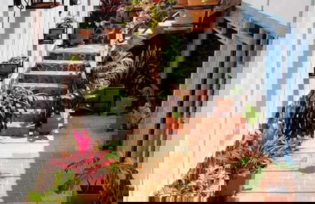 Aparta Hotel Los Tucanes - Photo 22