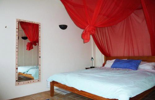 Clive and Bifi's house - Foto 17