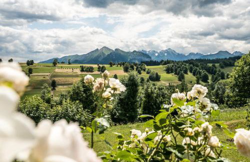 Nowe Miejsce Brzegi - Foto 12