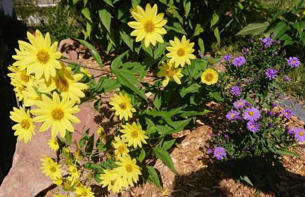 FeWo am Neckarsteig mit Anbindung an Heidelberg - Photo 25