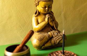 Espaço Canela-de-Ema - Foto 26