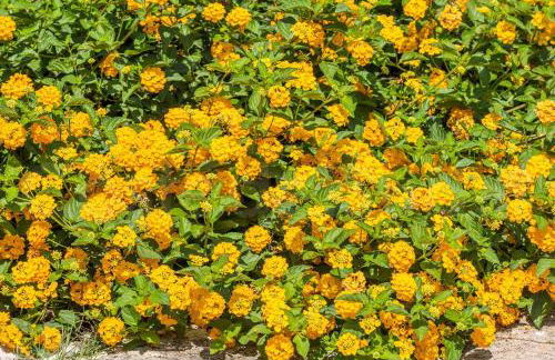 Casa Vacanze Galatea - Foto 45