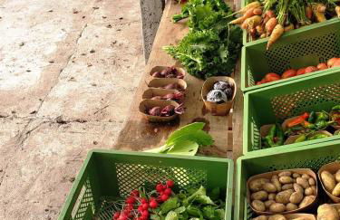 Glamping im beheizten Campingfass auf Leo's Farm - Foto 18