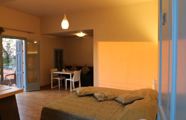 LASSIA STUDIOS - Foto 7