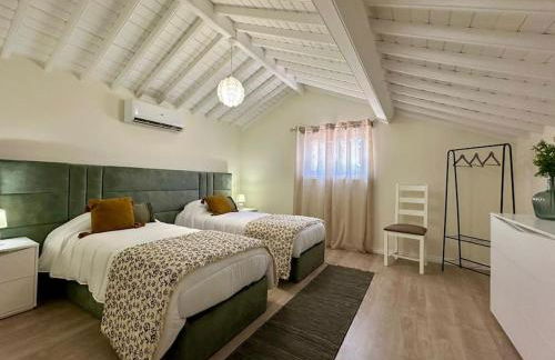 Palm House Azores - Photo 23