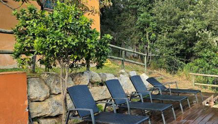 Cal Nene - plamun es - Foto 2, Garden