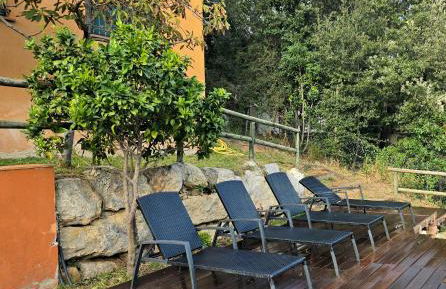 Cal Nene - plamun es - Foto 2