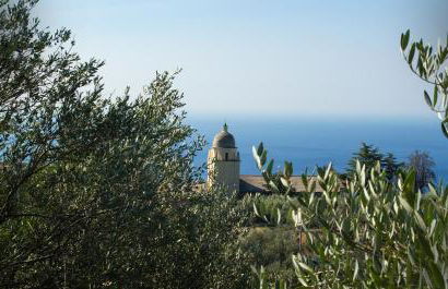 The Garden - Foto 42