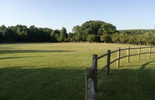 le gite des 3 saules - Foto 56