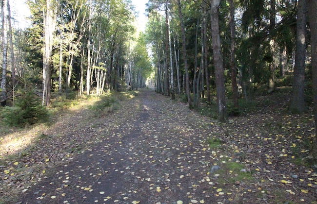 The Sundeck-a romantic apt in Tallkrogen - Photo 18