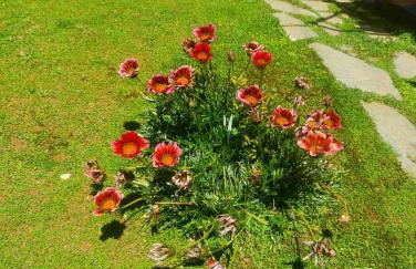 Sunrise Apartment 2 - Foto 19