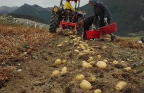 Agriturismo Barba Gust - Foto 6