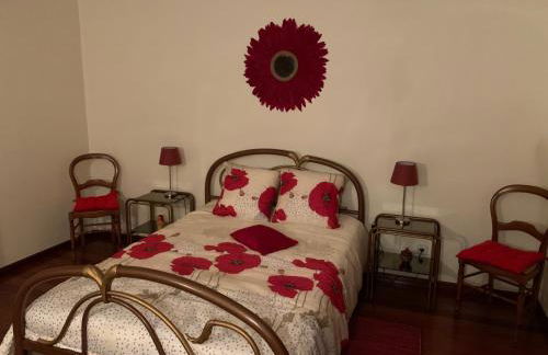 Le Domaine de l’Orangeraie - Foto 14