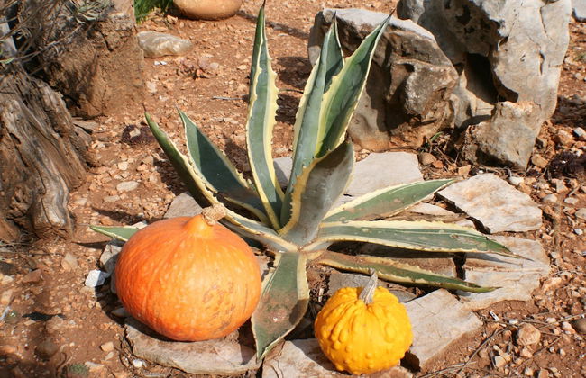 Apartments and Rooms LEA - Photo 73