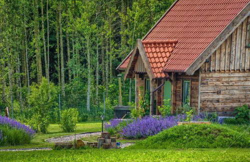 Zielone Ławki - Foto 1