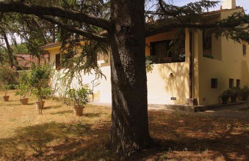 The Colours Of Chianti - Foto 17