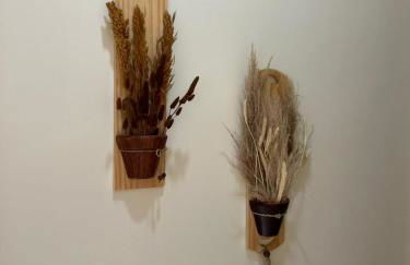 casa em Brotas 08 - Foto 9