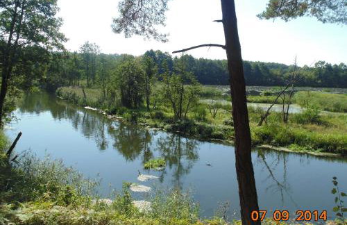 Agroturystyka Borówka - Foto 35