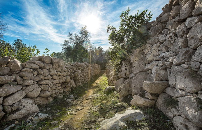 Pajara Acquaviva - Foto 20