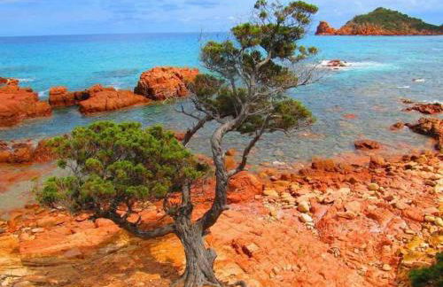 Sa Mariposa Holiday Home - Foto 47