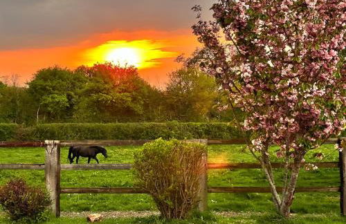 Gîte dans un petit haras - Foto 37