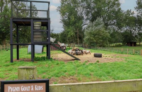 Duke Cottage - Foto 29