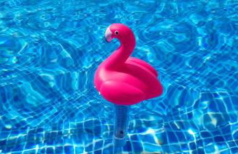 Apartman Čule - Foto 13