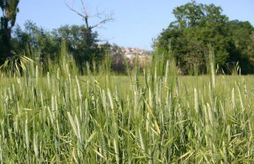 evvIVA's house - Foto 4