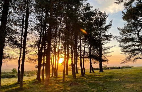 Robin Cabin with hot tub - Foto 24