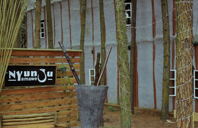 Nyungu Yamawe Forest Park - Foto 1