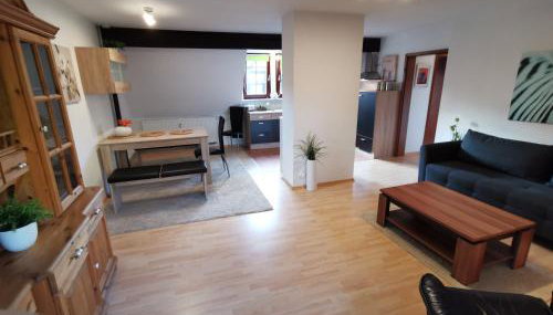 Lenzenhof anno 1720 I - Foto 5