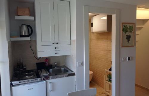 Apartments with WiFi Pitve, Hvar - 22114 - Photo 17