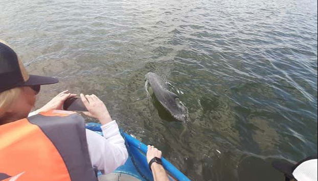 Trip to Puerto El Morro with Dolphin Watching - Foto 3