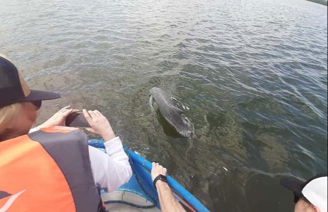 Trip to Puerto El Morro with Dolphin Watching - Foto 3