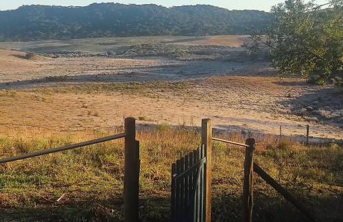 Na'raucária - Foto 11