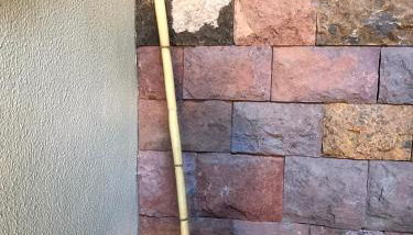 Palheirinho da Camélia - Foto 3