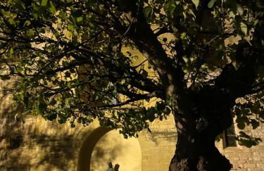 Inspiration maison entière avec jardin - Photo 28