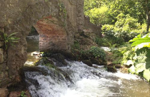 Watchet Cottage - Photo 39