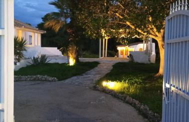 Olive Grove Soulis Family Estate - Foto 63