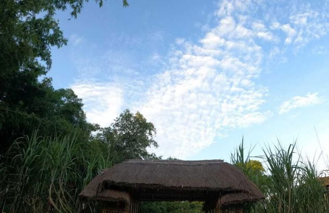 Pobitora Village Eco Camp - Foto 16