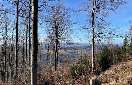Apartament pod Wielką Sową z Sauną Infrared - Foto 29