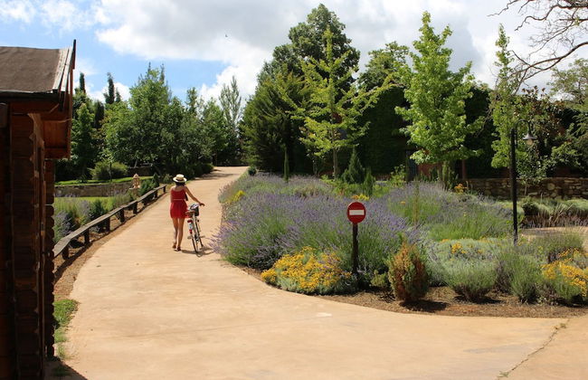 Molinos de Fuenteheridos - Photo 41