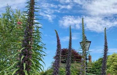 Bentley Rise - Photo 28