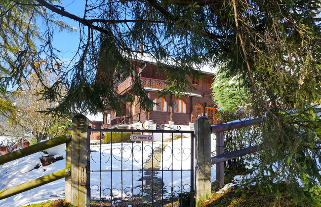 Marmousets 2 - Photo 22