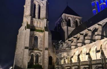 Maison Médiévale LAON - Foto 15