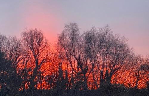 Cozy Cabin Retreat Near Chepstow - Foto 23