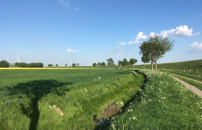 Landhaus Nordsee-Peerhuus - Foto 74