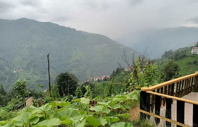 Kamelya Dag Evleri - Foto 23